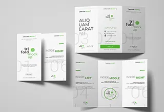 Flyers and Brochures